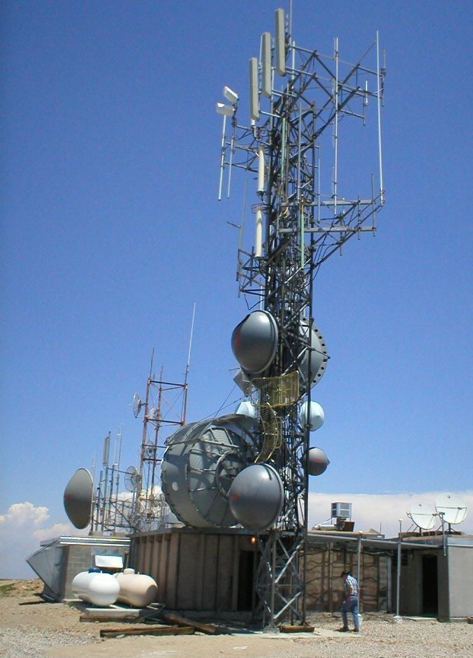 Interference Hunting Services